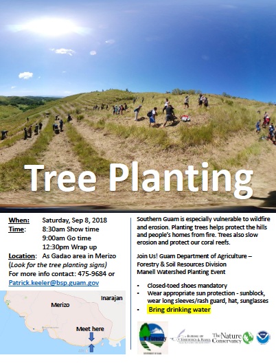 flyertreeplanting