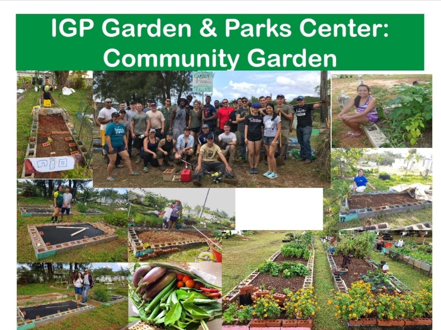 Community Garden 